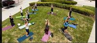 Yoga Chicago Fridays in Uptown