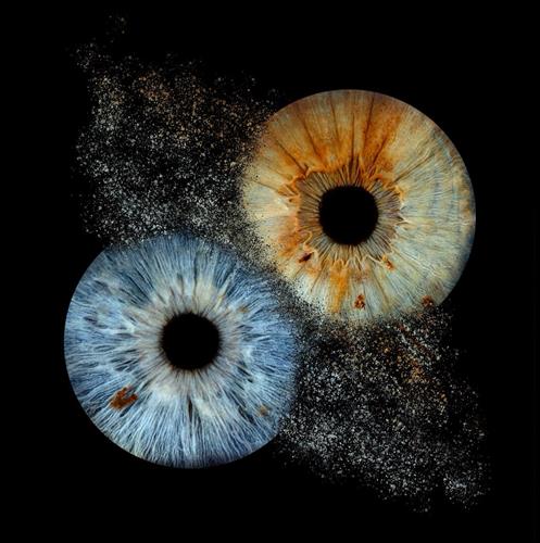 The beautiful combination of eye colors