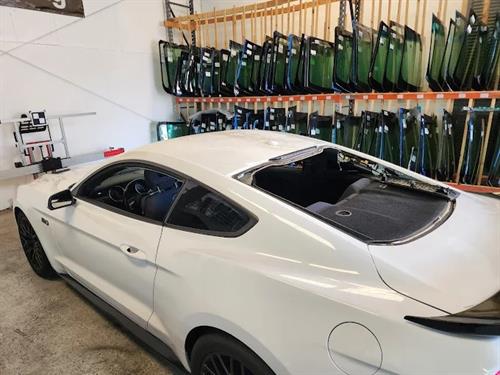 Back Glass Replacement