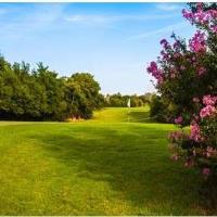 Golf Tournament