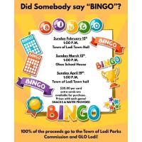 Town of Lodi BINGO