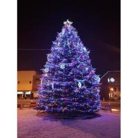 Baker City Christmas Tree Lighting