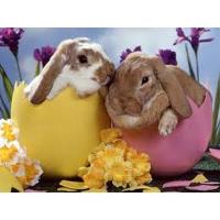 Celebrate Easter at the Geiser Grand Hotel