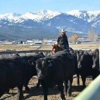 Regenerative Ranching Event for Women Ranchers in NE Oregon