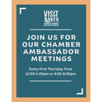 Ambassador Meeting