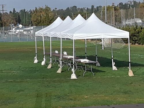 10'x10' Popup Tents