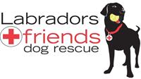 Paint Your Pet Workshop Fundraiser