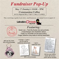 Labradors and Friends Dog Rescue: Fundraiser Pop-up