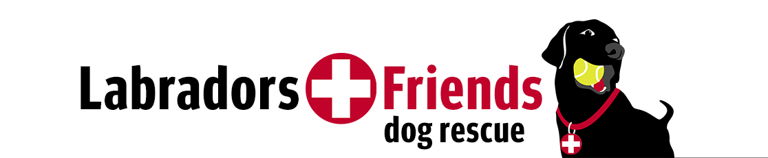 Labradors and Friends Dog Rescue