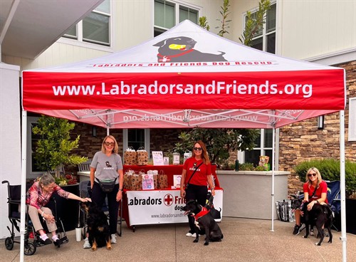 Gallery Image 415E3A0D-758E-4687-AC99-3420C77B96BD.jpeg