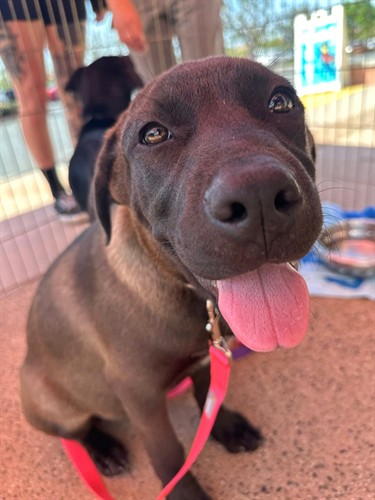 Gallery Image 4833DC88-873E-4611-B7B8-F45D3E3F1EEF.jpeg