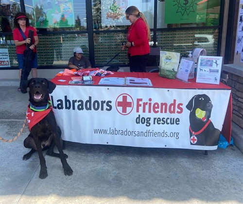 Gallery Image 66A21BB1-685F-4253-896E-029B5160914A.jpeg