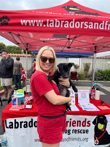 Gallery Image 93890C31-CC49-4C8F-8848-D1BBB32F95D8.jpeg