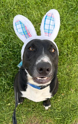 Gallery Image BE4C8FE5-CF56-4C84-8630-6E8BD83650F2.jpeg