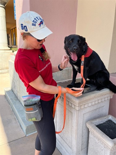 Gallery Image CC1931D1-D759-423B-8AF0-9677C9B730FF.jpeg