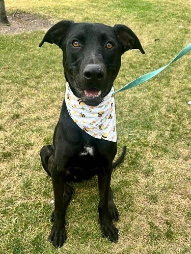 Gallery Image DEDE7321-7E38-4C30-B855-10FB4B0BF230.jpeg