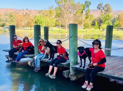 Gallery Image E757EAE2-2B00-48B3-8617-45E97C37F334.jpeg