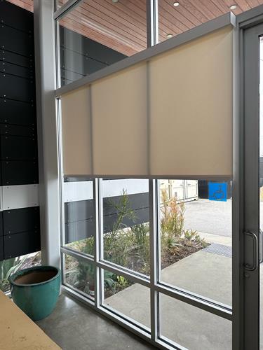 Retail Space Roller Shades