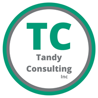 Tandy Consulting Inc