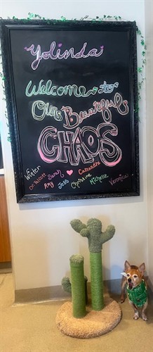 Yolinda Animal Hospital