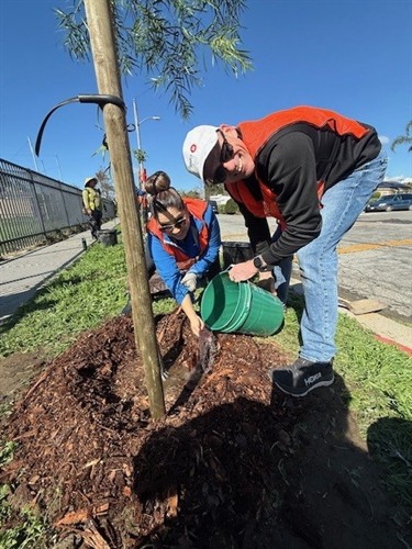 Gallery Image BMO_PIC_2.jpg