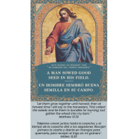St. Joseph Catholic Church Placentia | July 19, 2026 - 16th Sunday in Ordinary Time | Bulletin