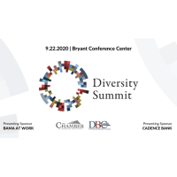 2020 Diversity Summit