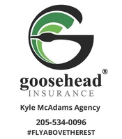 Goosehead Insurance - Kyle McAdams Agency