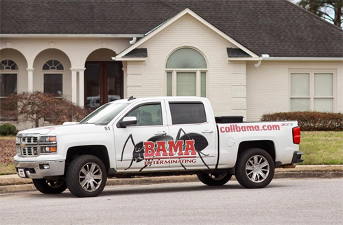 Residential and Commercial Pest and Termite Control