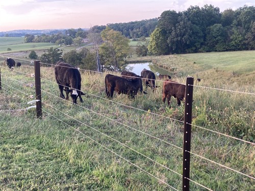 Timeless Fence System Brown posts