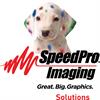 Speedpro Solutions