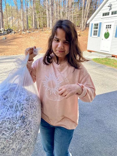 Gallery Image Chloe_carrying_shreds(1).jpeg