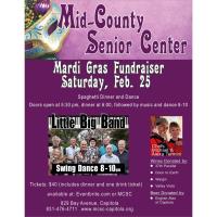 Mid-County Senior Center Mardi Gras Fundraiser