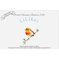 LiLiKoi Grand Opening & Ribbon Cutting Celebration