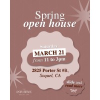 The Intuitive Beauty Spa Open House