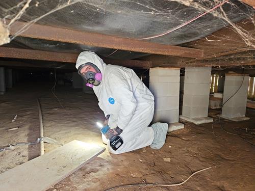 Inspecting a crawl space in full PPE