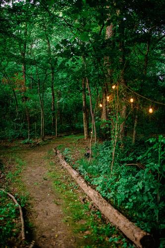 Gallery Image calming_walkway_with_lights_on_the_trail.jpg