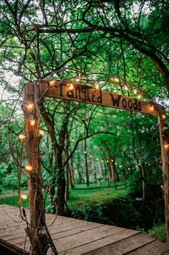 Gallery Image tangled_woods_further_sign_.jpg