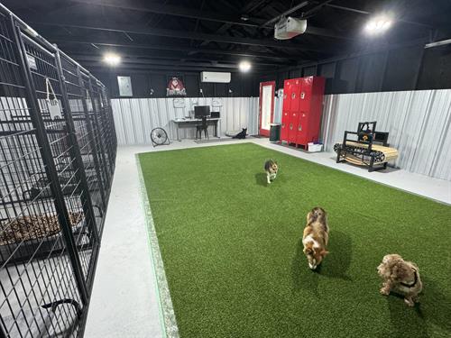 Gallery Image kennel_2.jpg