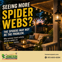 Summer Fun Outside. Pest Problems Inside:  Spiders