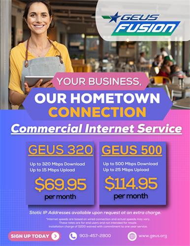 GEUS Commercial Internet Service
