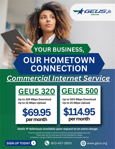 GEUS Commercial Internet Service