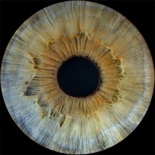 Gallery Image Digital_Elizabeth.png