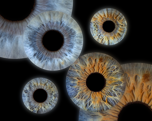 Gallery Image Family_of_4_vs_2.png