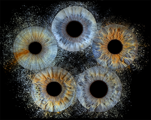 Gallery Image Family_of_5.png