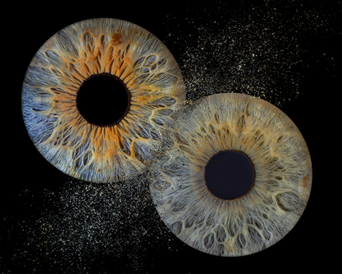 Gallery Image The_Clash.png