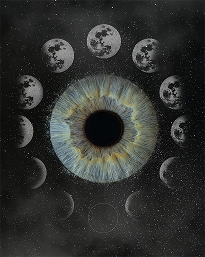 Gallery Image The_Moon_Phases.png