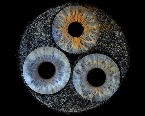 Gallery Image The_Triskelion.png