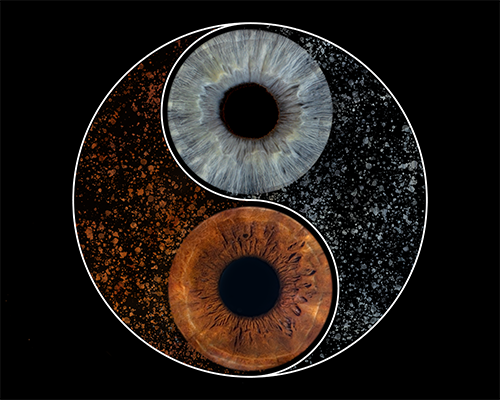 Gallery Image YinYang_Mak_and_Tristan.png