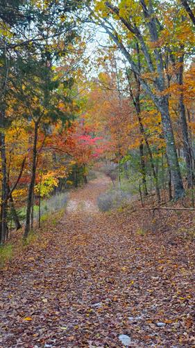 Private Beaver Lake access road